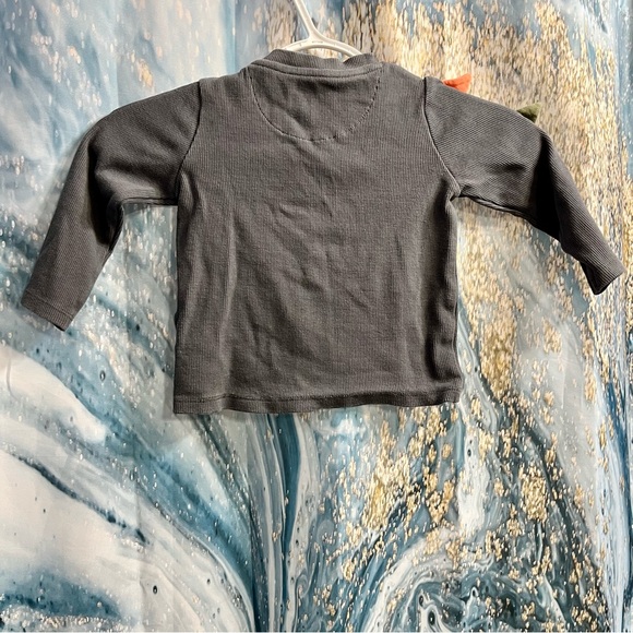 Fred & Flo Gray Dinosaur Spikes on Sleeve Size 12-18 Months - Picture 3 of 6